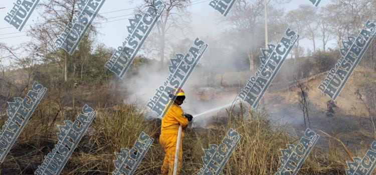 Incendio pastizal causó pánico