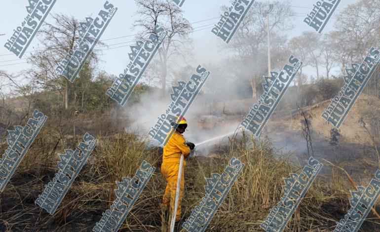 Incendio pastizal causó pánico