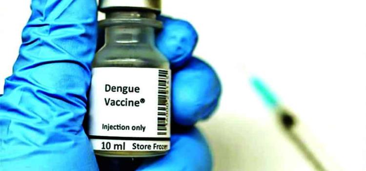 Nueva vacuna contra dengue