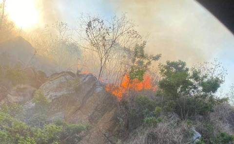 Incendio Arrasa con Hectáreas en Texquitote y El Caracol