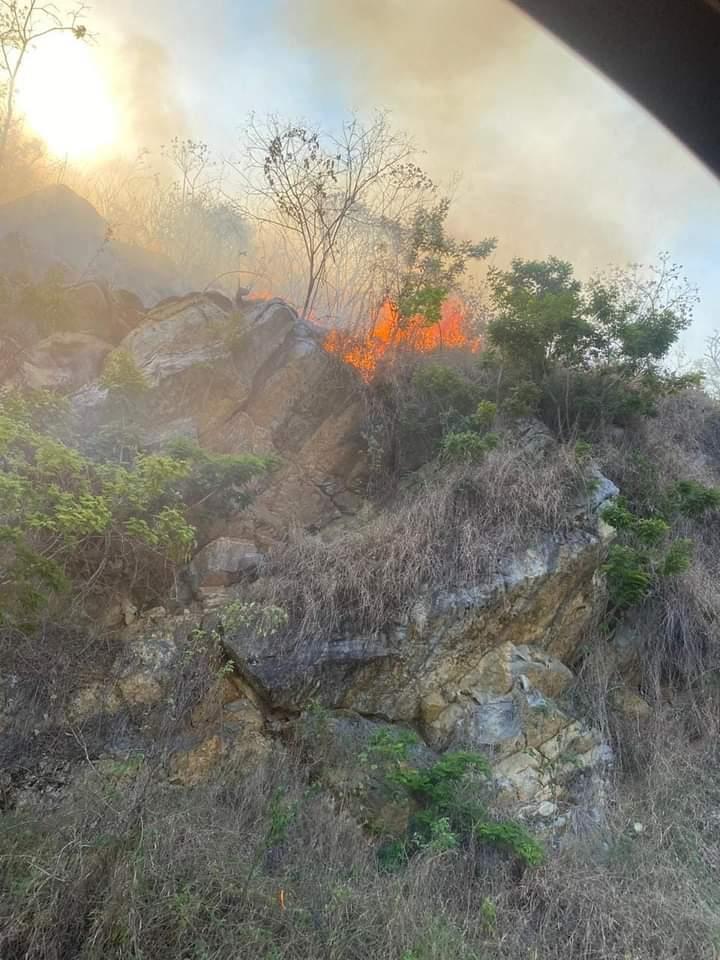 Incendio Arrasa con Hectáreas en Texquitote y El Caracol