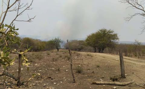 Podría convertirse en desierto la Huasteca