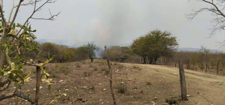 Podría convertirse en desierto la Huasteca