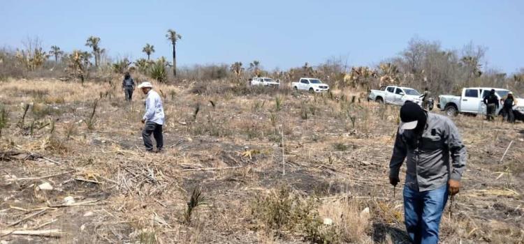 Hallan osamenta en una parcela