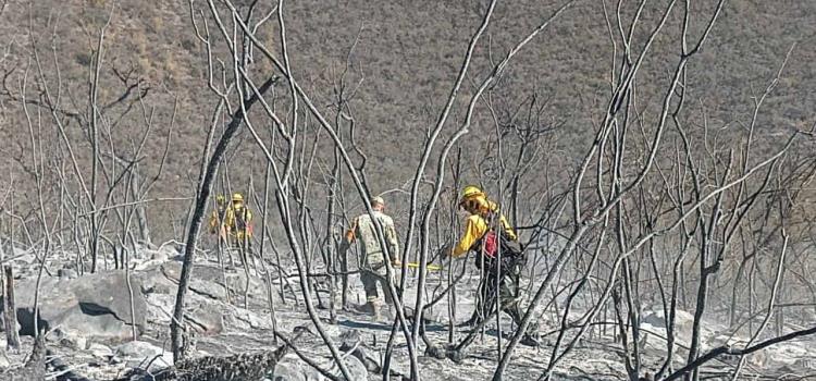 Aplica Sedena Plan DN-III-E en la zona