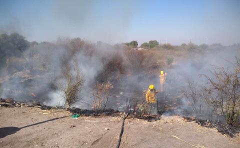 Sofocaron incendio De pastizal y basura  
