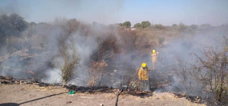 Sofocaron incendio De pastizal y basura  