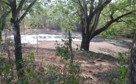 Se secan las lagunas en San Martín Chalchicuautla