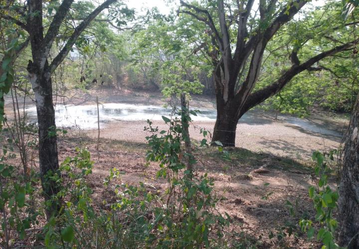 Se secan las lagunas en San Martín Chalchicuautla