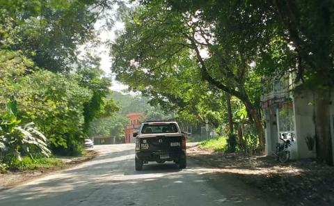 Árbol aplasta vivienda; dos lesionados