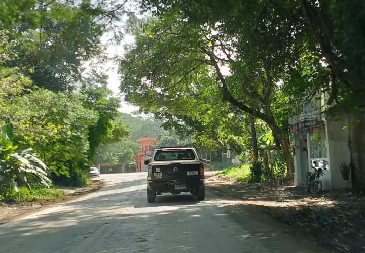 Árbol aplasta vivienda; dos lesionados