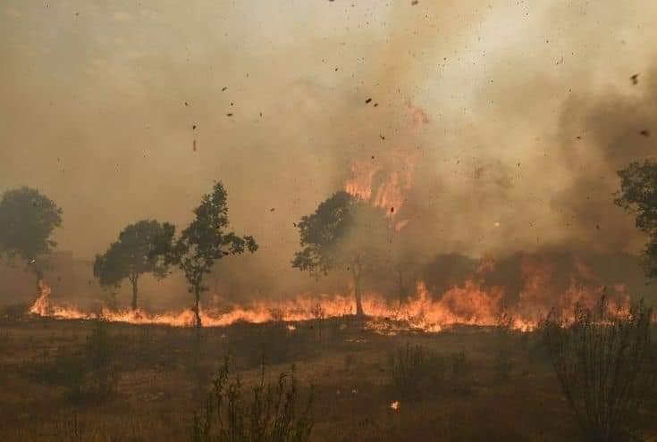 Se ´reactivó´ incendio forestal en Zaragoza