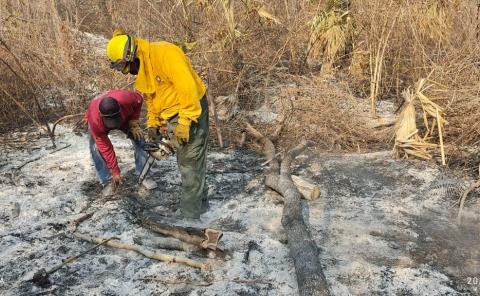 Piden castigos ejemplares para incendiarios