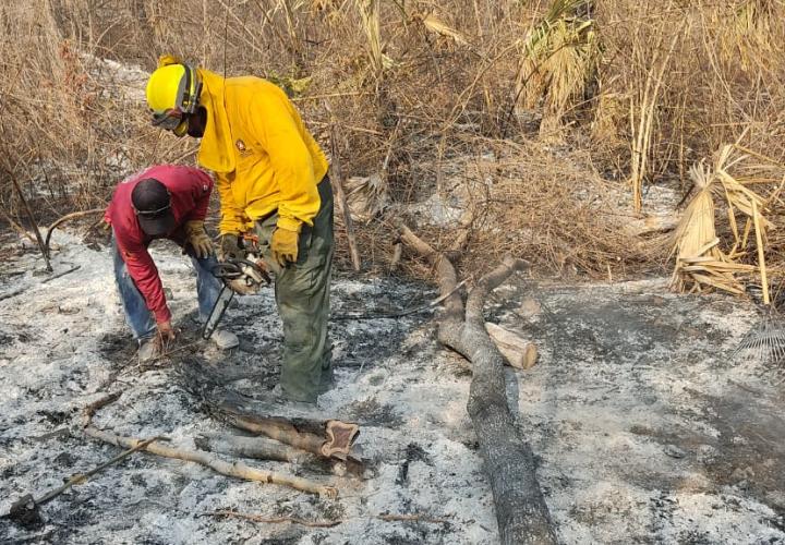 Piden castigos ejemplares para incendiarios