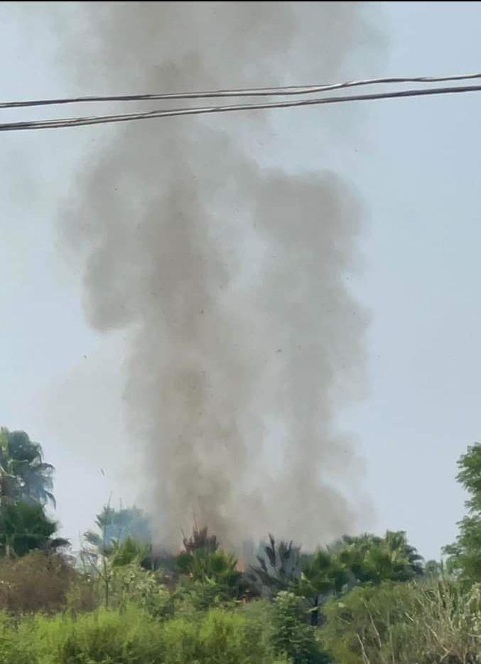 Fuego consumió pastizal y palmeras