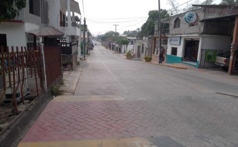 Impulso por la reforestación en el Boulevard Independencia