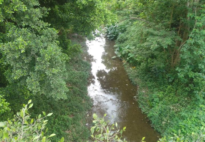 Arroyo se benefició con las lluvias