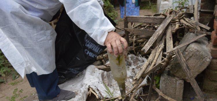 Jurisdicción Sanitaria invita a descacharrizar para evitar el dengue