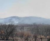 Incendios afectaron en 11 mil hectáreas