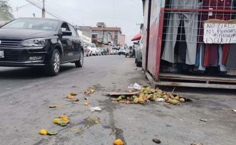 Crean insalubridad en la zona Centro