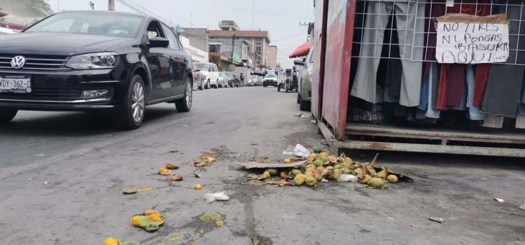 Crean insalubridad en la zona Centro