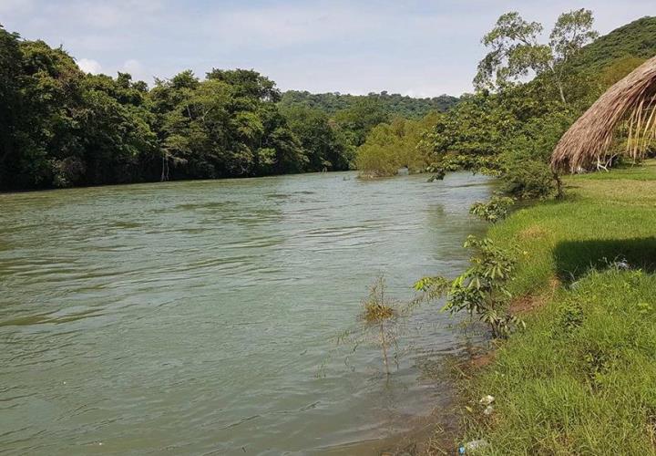 Aguas contaminadas provocan el cáncer 