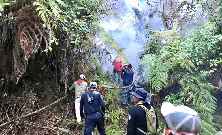 Bomberos se suman a labores para combatir incendio forestal