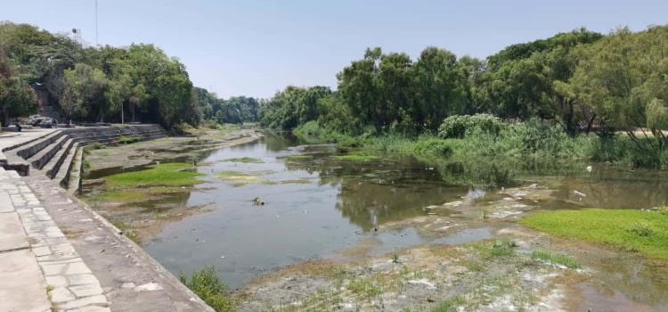 "Sanear" el río Valles dañaría vida acuática