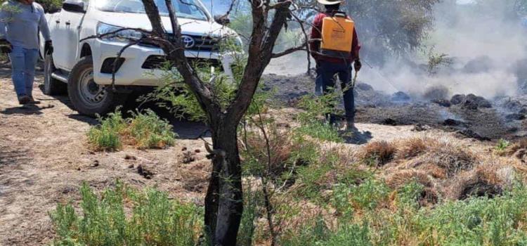 Atacan dos incendios en la zona Huasteca