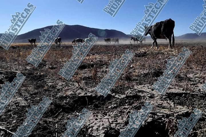 La Huasteca Afectada por la sequía extrema 