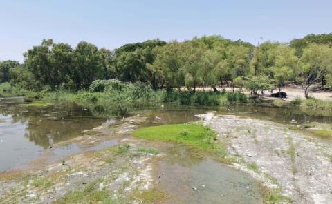 ´Fétidos´ olores emanan del río