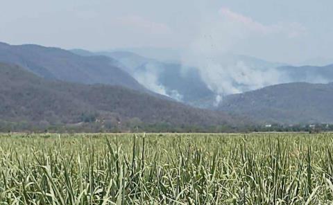 Incendio forestal fuera de control