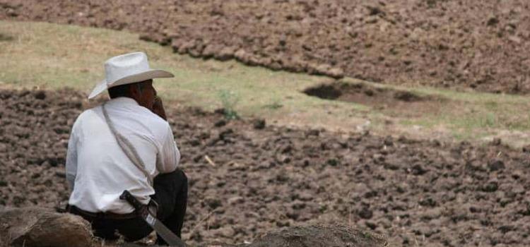 Antepasados tenían miedo a la canícula