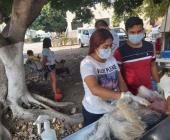 Invitaron a esterilizar los perros y gatos