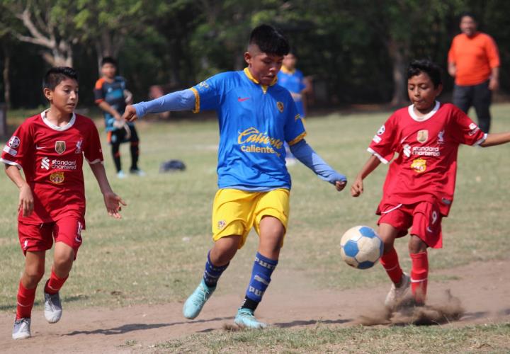 La jornada 15 del futbol infantil B salta a escena