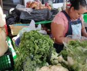 Subió hasta $200 precio del cilantro