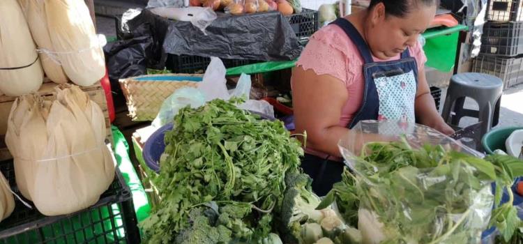 Subió hasta $200 precio del cilantro