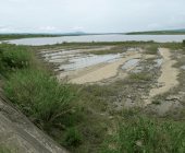 Aplicarán “veda” en pesca y caza