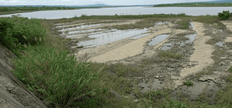 Aplicarán "veda" en pesca y caza