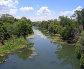 Aumentan algas en el río Valles