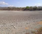 Se secó la presa de ‘El Zocohuite’