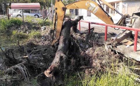 Destaca en Parlamento de las Mujeres una vallense
