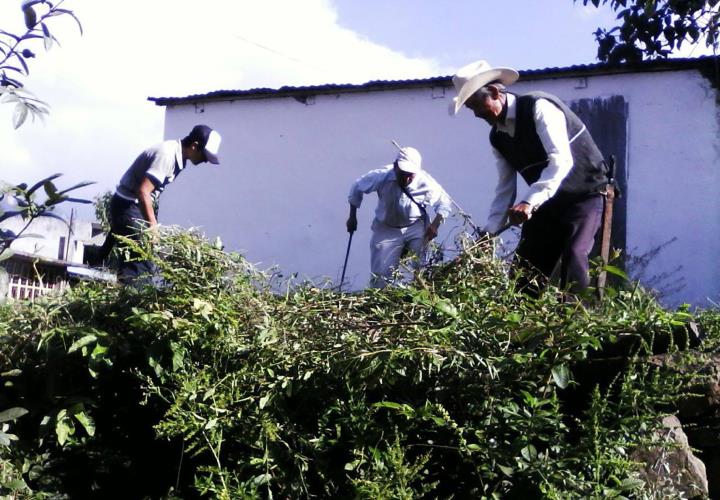 Acciones preventivas ante intoxicaciones por picadura de alacrán