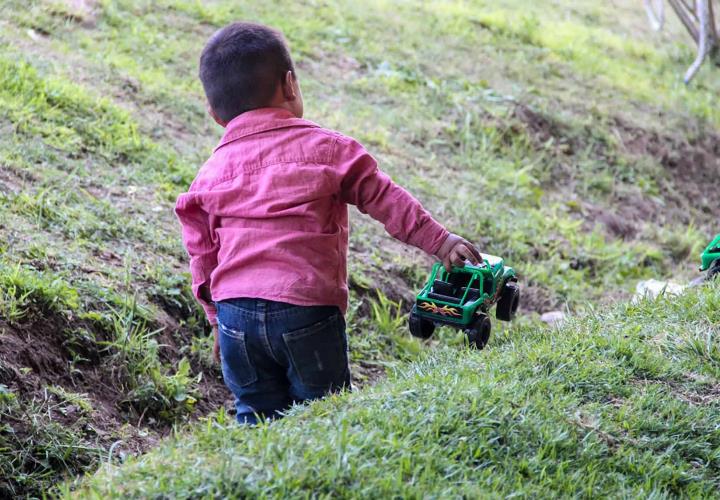 Acciones preventivas ante intoxicaciones por picadura de alacrán