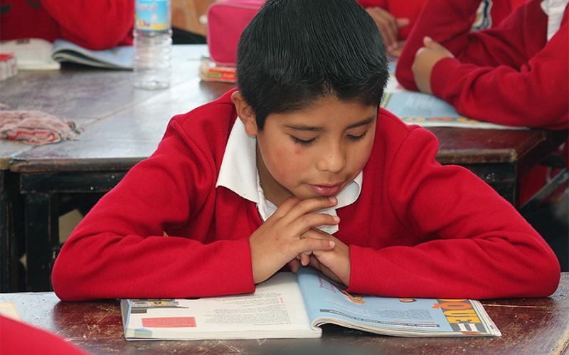 1 de cada 10 niños con nivel de lectura aceptable 