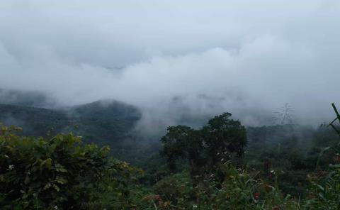 Lluvias benefician al medio ambiente