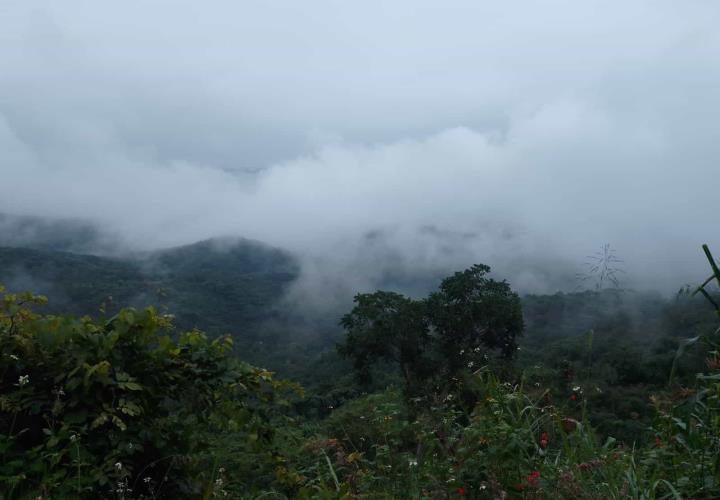 Lluvias benefician al medio ambiente