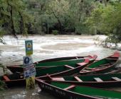 Cierre total en paraje “Micos”