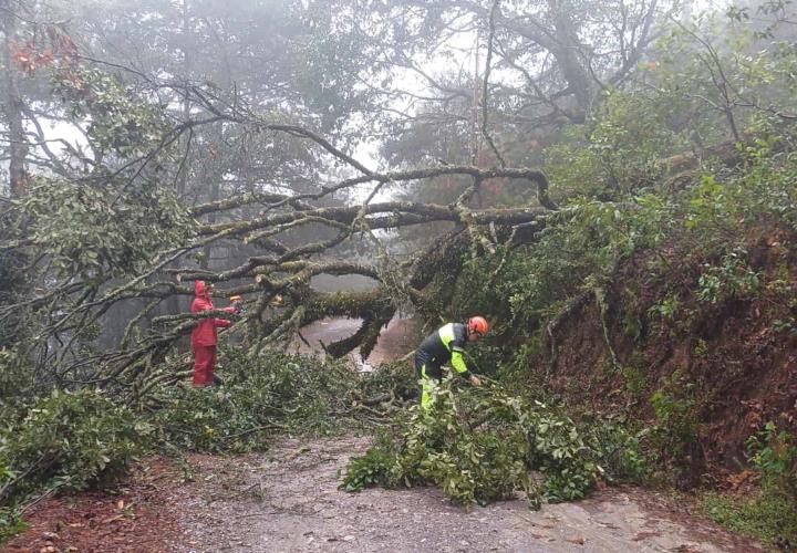 Hidalgosin cierres carreteros, pese a derrumbesHidalgo sin cierres carreteros, pese a derrumbes