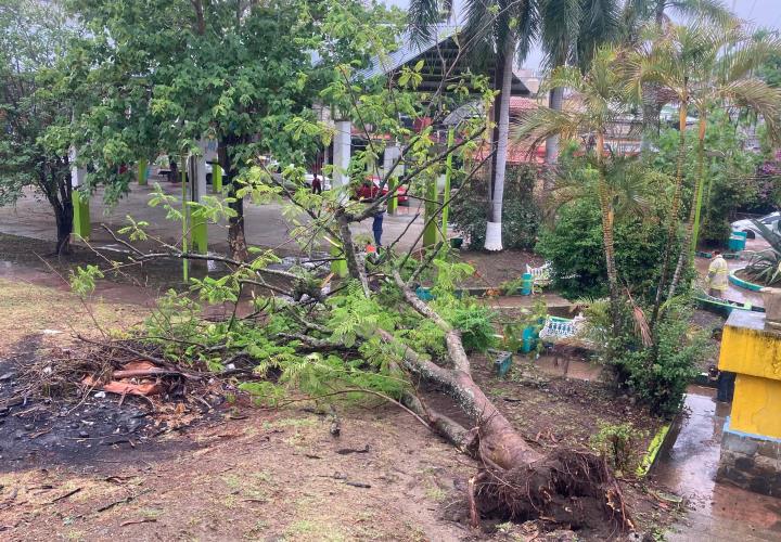 Hidalgosin cierres carreteros, pese a derrumbesHidalgo sin cierres carreteros, pese a derrumbes